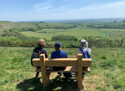 Lyscombe bench