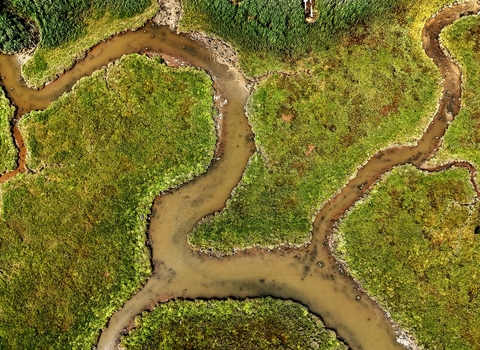 Aerial view of Lytchett Bay nature reserve