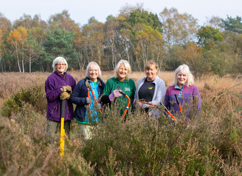 Social Value Volunteering