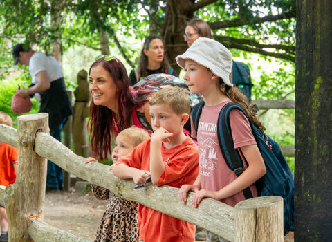 Families enjoying Brownsea Island