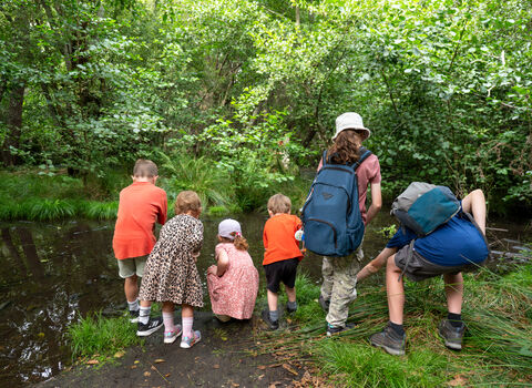 Young people enjoying Brownsea Island