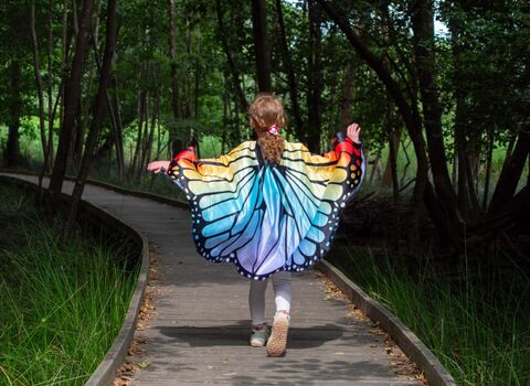 Girl dressed as a butterfly