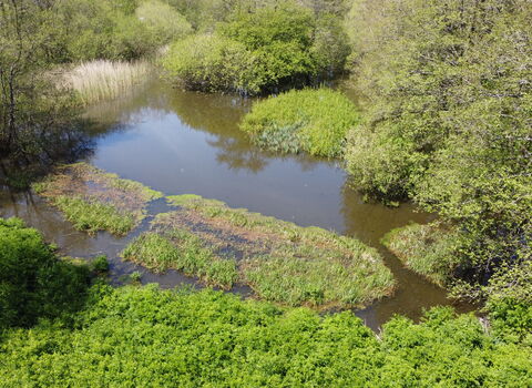 Aerial view of beaver project site