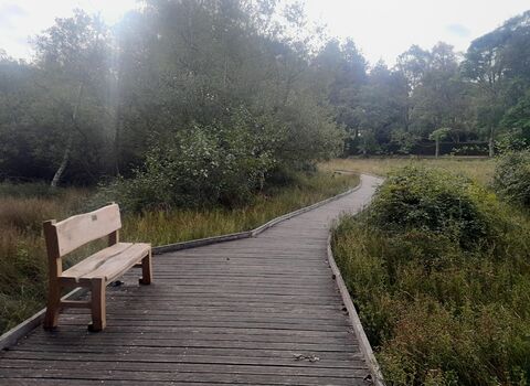 A handmade memorial bench on a boardwalk at brownsea island on a misty morning