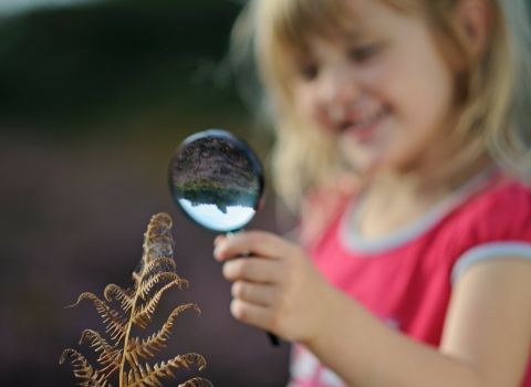 Young girl looking at spider in web on heathland in summer © David Tipling/2020VISION