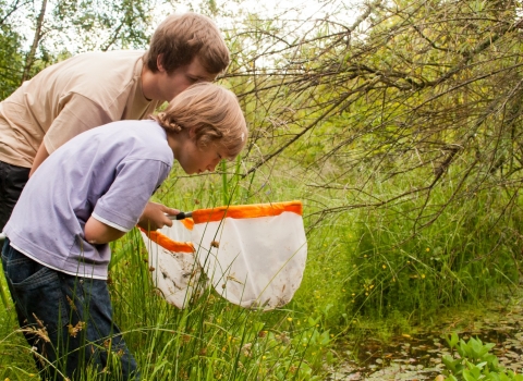 Pond dipping © Katrina Martin / 2020VISION