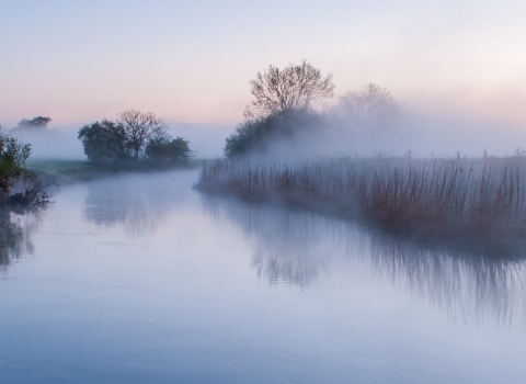 The River Stour, early morning mist and frost, near Wimborne Minster, Dorset © Ross Hoddinott/2020VISION