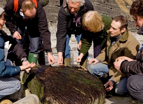 Foraging walk © Toby Roxburgh/2020VISION